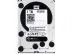 Hard Disk 1 TB WD1003FZEX